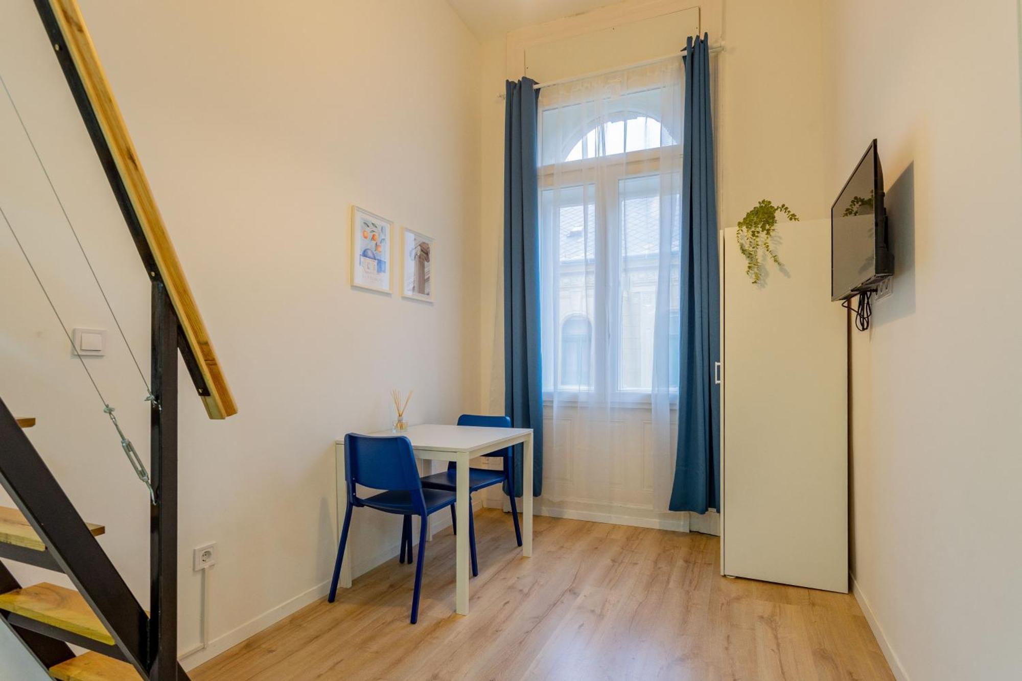 Rakoczi Apartmán *